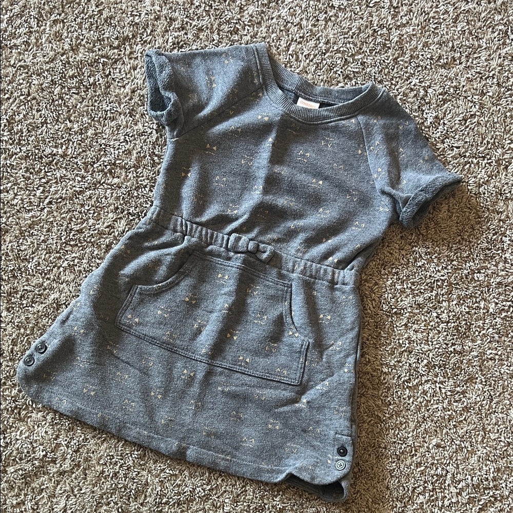 Gymboree Little Girl Gray Sweatshirt Dress Size 4t